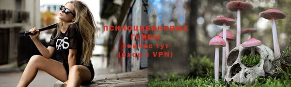 экстази Алексин