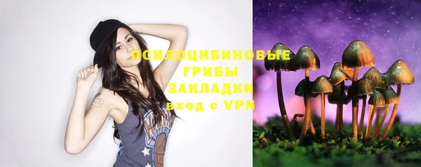 молекула духа Алзамай