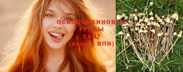 экстази Алексин