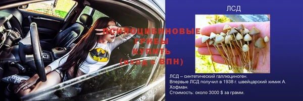 молекула духа Алзамай